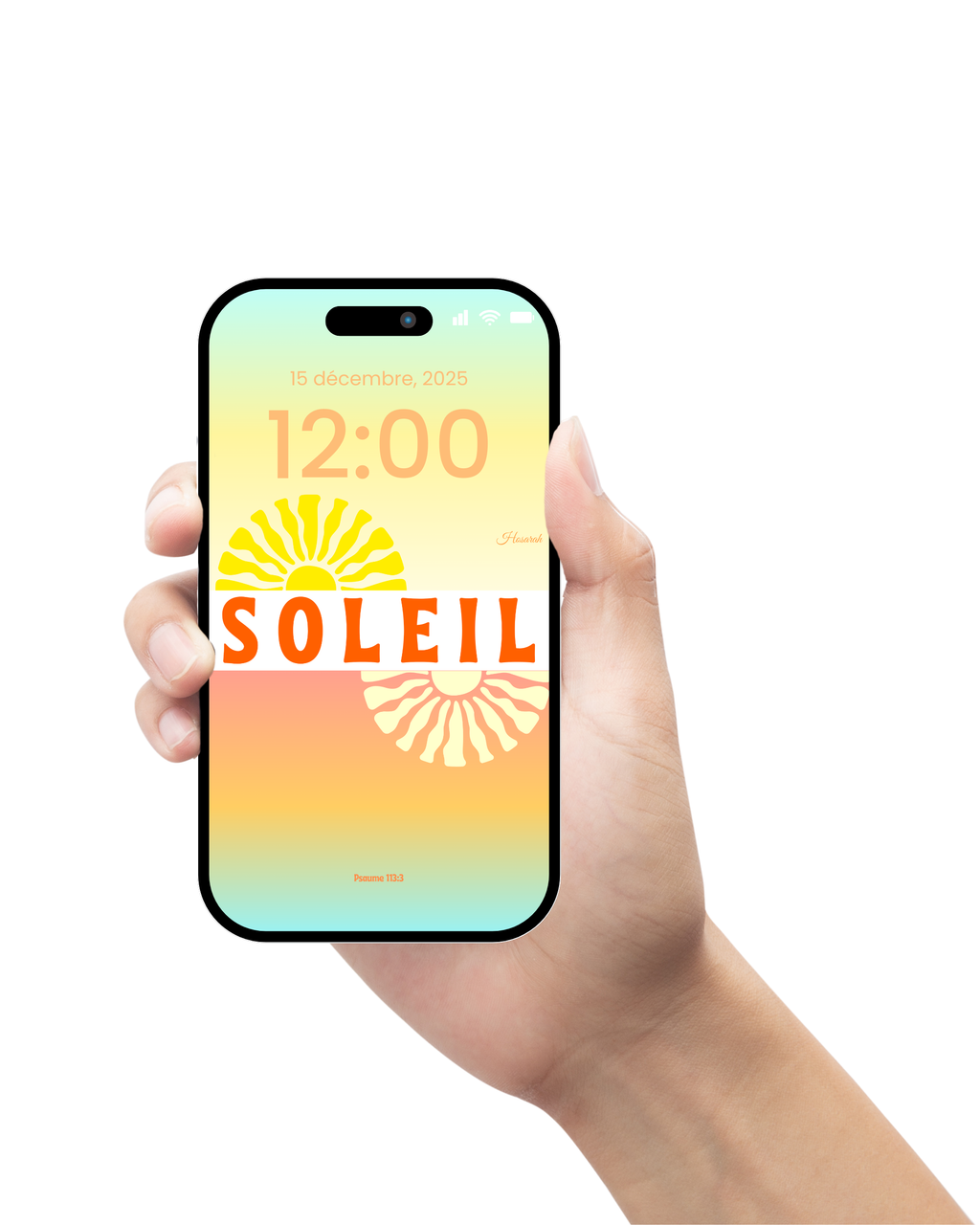 SOLEIL- BLANC (FD)